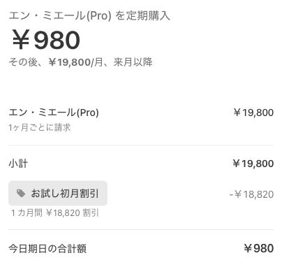 Stripeの支払い金額。初月980円、お試し初月割引18,820円、翌月以降19,800円の表示。